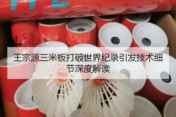 王宗源三米板打破世界纪录引发技术细节深度解读